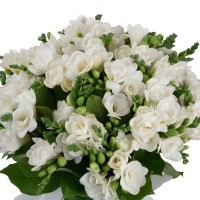 Bouquet 29 Freesia