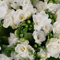 Bouquet 29 Freesia