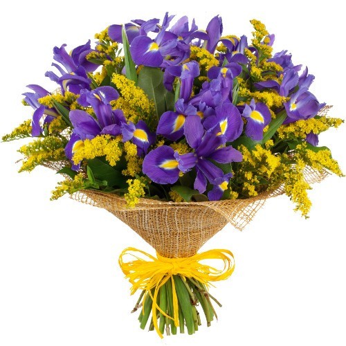 chrysanthemums and irises