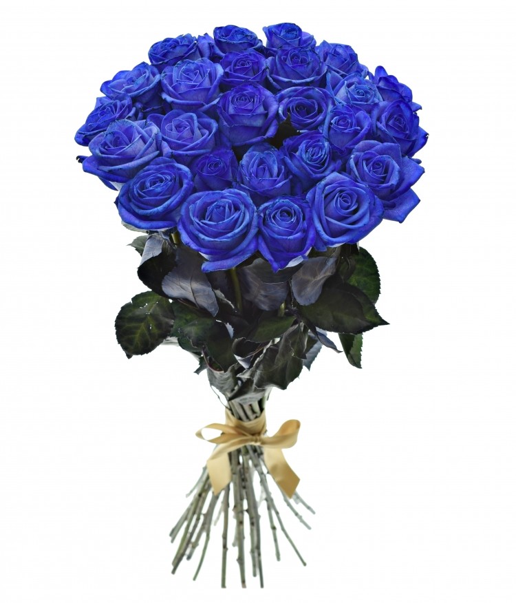 25 blue roses
